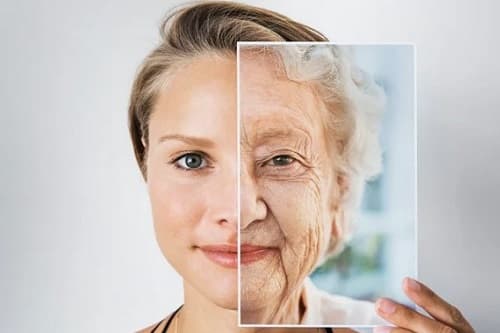 SLOW AGING NEDİR?
