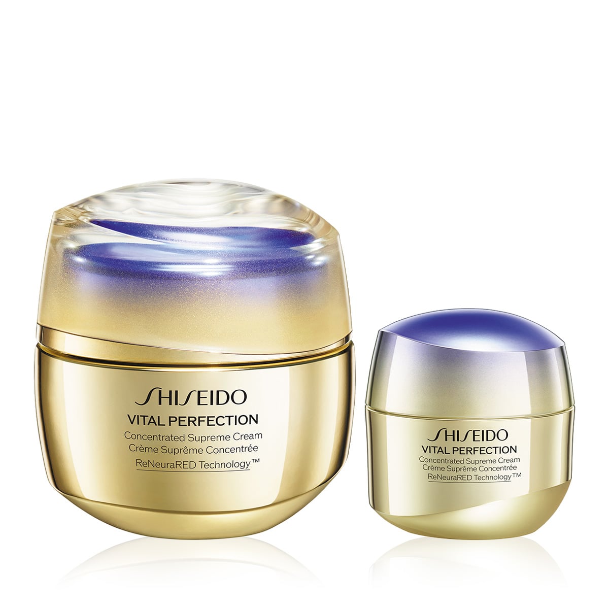 Olgun Ciltler İçin Yaşlanma Karşıtı Etkili İkili Bakım Kremi Seti